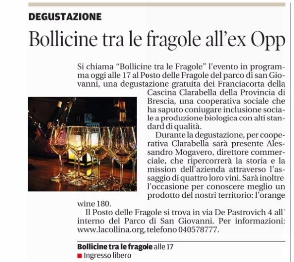 bollicine pdf 01.09
