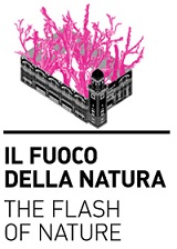 fuoco-della-natura22