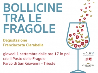 Bollicine tra le Fragole: cooperazione sociale e Franciacorta, un binomio da scoprire!