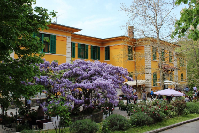 Horti Tergestini, due giorni di eventi sul tema del verde