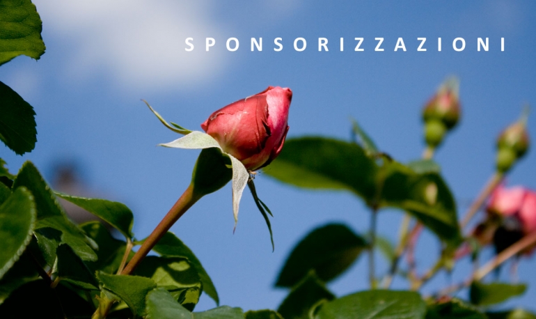 Sponsorizzazioni