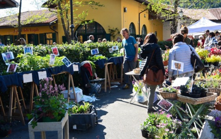 Horti Tergestini: visite guidate e non solo!