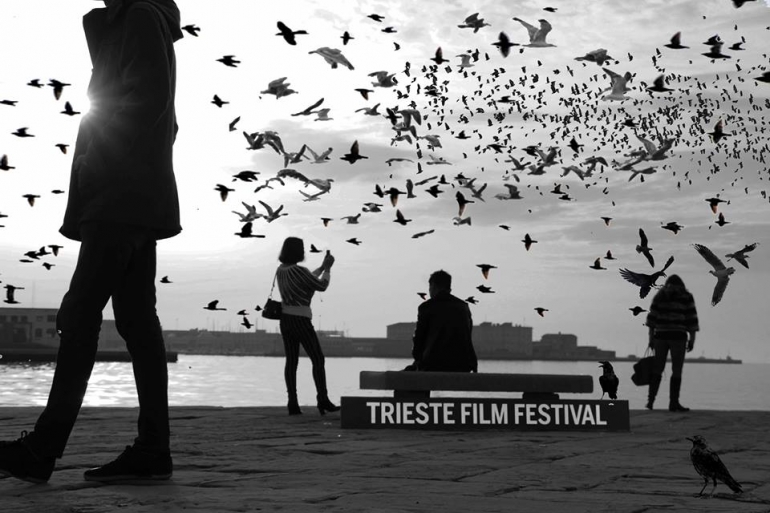 La Città che Cura al Trieste Film Festival