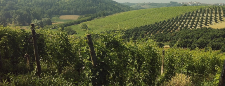 Strawberry Food &amp; Wine: un viaggio tra i vini piemontesi della Cascina Tavijn di Scurzolengo