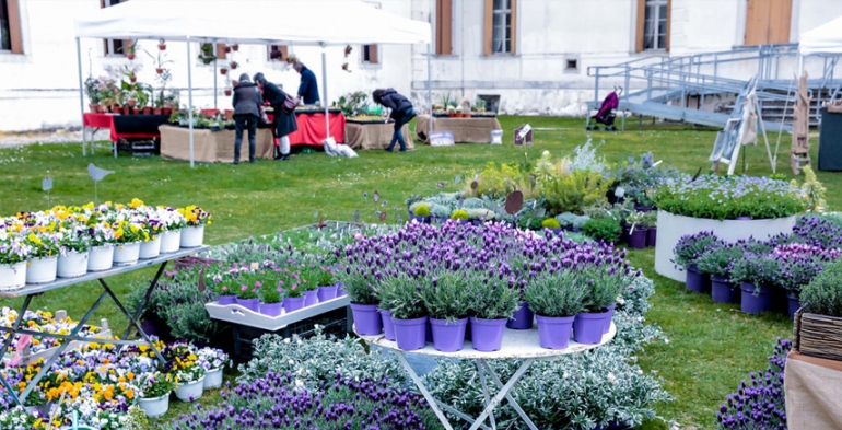 Nel giardino del Doge Manin - marzo 2018