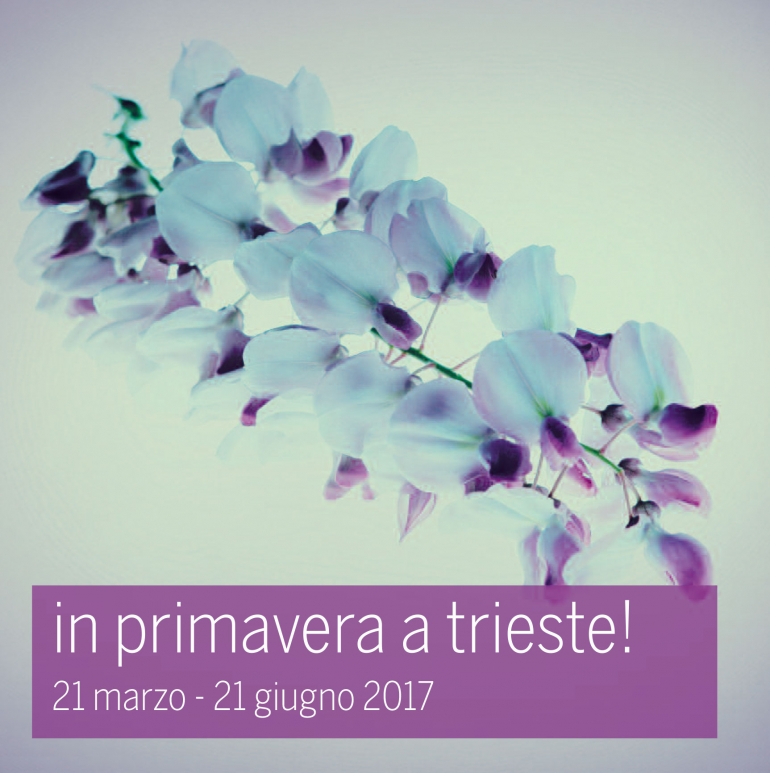 In Primavera a Trieste: servizi di comunicazione